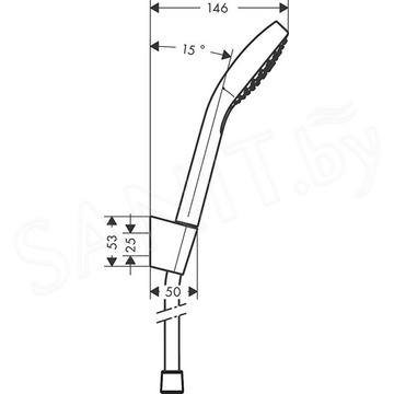 Душевая лейка со шлангом Hansgrohe Vario 26413400