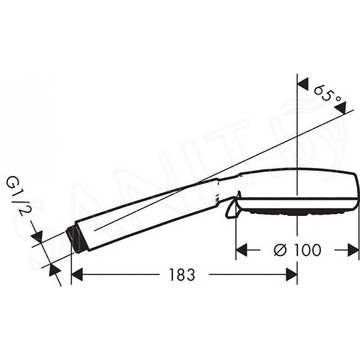 Душевая лейка Hansgrohe Crometta 100 Vario 26824400