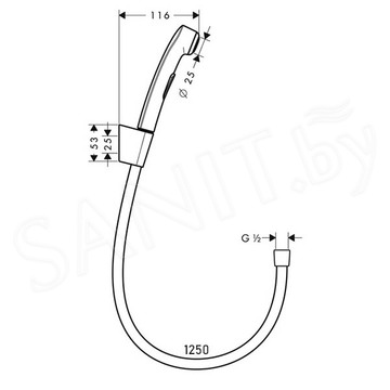 Гигиеническая лейка Hansgrohe 32129000