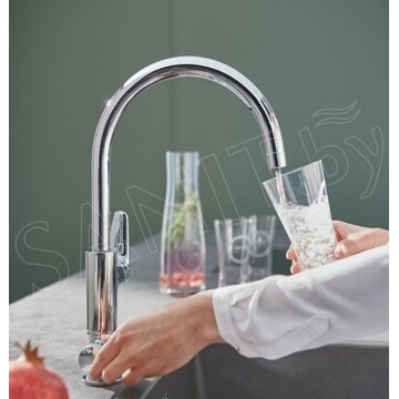 Смеситель для кухонной мойки Grohe Blue Pure BauCurve 30386000 в комплекте с фильтром