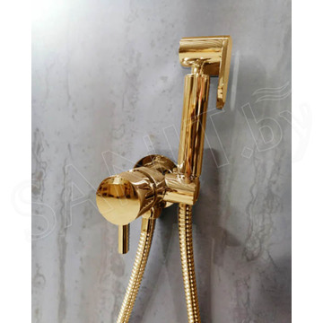 Смеситель встраиваемый Boheme Uno 467-G Gold / 467-MG Matt Gold с гигиеническим душем