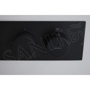Смеситель встраиваемый Allen Brau Liberty 5.33003-31 термостатический