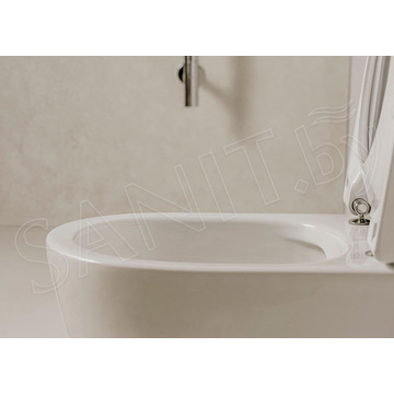 Комплект инсталляции Grohe Rapid SL 38772001 с подвесным унитазом Roca Ona Rimless 34H688000 Slim Soft Close