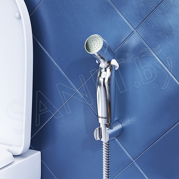 Гигиеническая лейка Damixa Shower program 760550100