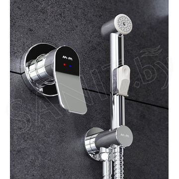 Комплект инсталляции AM.PM Spirit CK70HA с кнопкой Pro S, подвесным унитазом и гигиеническим душем