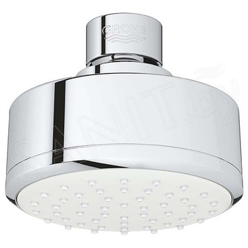 Верхний душ Grohe New Tempesta Cosmopolitan 100 I 26051001