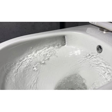 Подвесной унитаз Roxen Antares Bidet Tornado 530185-01XT Rimless Soft Close с функцией биде