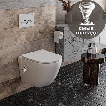 Подвесной унитаз Roxen Antares Bidet Tornado 530185-01XT Rimless Soft Close с функцией биде