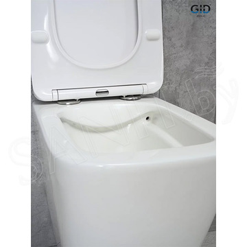 Подвесной унитаз Gid Tr2143 с сиденьем Soft Close