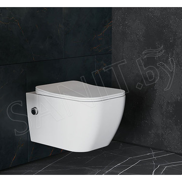 Комплект инсталляции Asten Readle Zentralmodul AR0501 с кнопкой и унитазом Roxen Cube Bidet 530135-01X с функцией биде