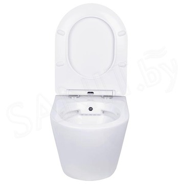 Комплект инсталляции Asten Readle Zentralmodul AR0501 с кнопкой и унитазом Roxen Antares Bidet 530185-01X с функцией биде