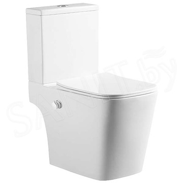 Напольный унитаз Amore di Mare Tronto Bidet N900-X с функцией биде