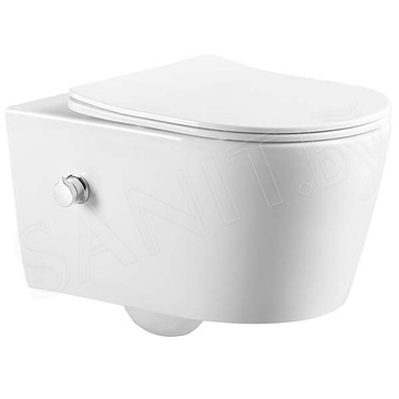Подвесной унитаз Amore di Mare Temo Bidet P322-X с функцией биде