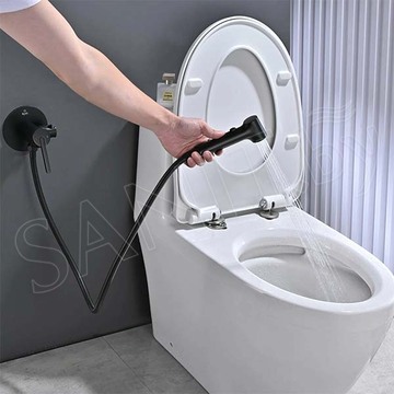 Смеситель встраиваемый Rose R235H с гигиеническим душем