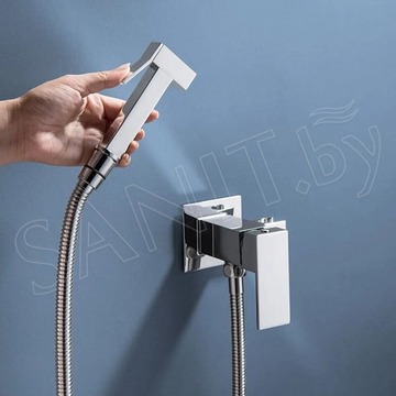 Смеситель встраиваемый Boch Mann Resia BM10412 с гигиеническим душем