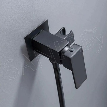 Смеситель встраиваемый Boch Mann Resia B BM10413 с гигиеническим душем