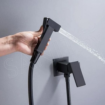 Смеситель встраиваемый Boch Mann Resia B BM10413 с гигиеническим душем