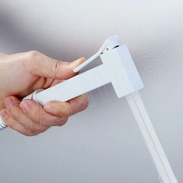 Смеситель встраиваемый Boch Mann Resia W BM10415 с гигиеническим душем