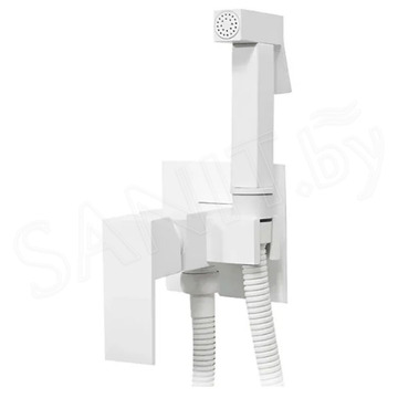 Смеситель встраиваемый Boch Mann Resia W BM10415 с гигиеническим душем