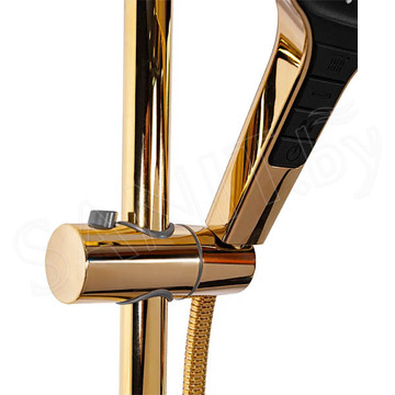 Душевая стойка Hansberge H5065GO