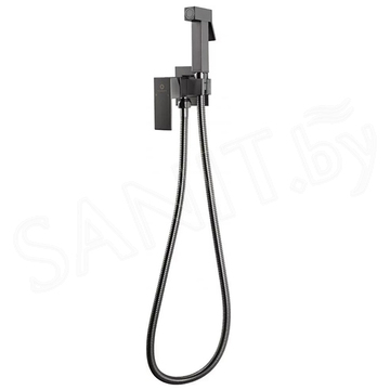 Смеситель встраиваемый Filarete Fing FL101BG с гигиеническим душем
