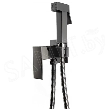 Смеситель встраиваемый Filarete Fing FL101BG с гигиеническим душем