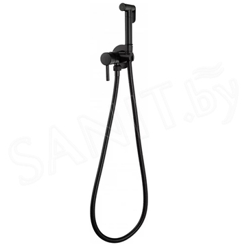 Смеситель встраиваемый Filarete Roun FL100BL с гигиеническим душем
