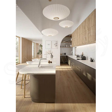 Смеситель для кухонной мойки Deante Silia BQS F73M с выдвижным изливом