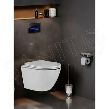 Подвесной унитаз Amore di Mare Delio Silver Line P203S