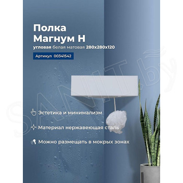 Полка Aquanet Магнум Н угловая белый матовый