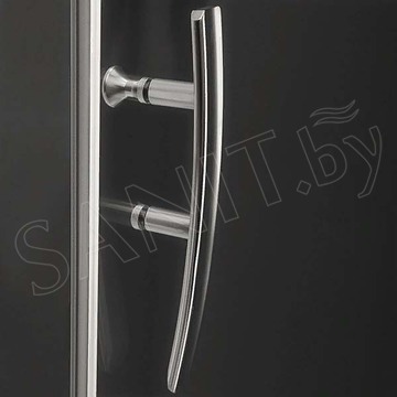 Душевая дверь Roth (Roltechnik) Proxima Line PXD2N Design Plus