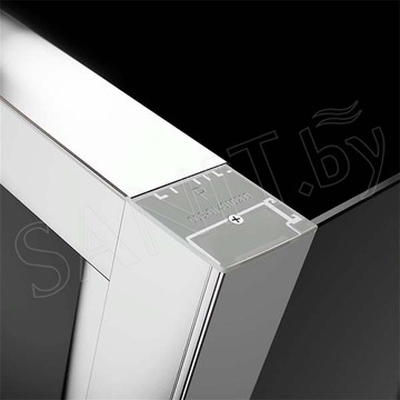 Душевая дверь Radaway Evo DW
