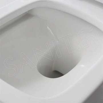 Подвесной унитаз SSWW CT2041/NC 4441