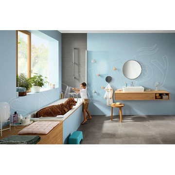 Смеситель для ванны Hansgrohe Ecostat E 15774000