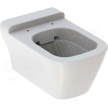 Подвесной унитаз Geberit myDay Rimfree безободковый