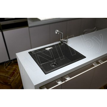 Кухонная мойка Tolero Loft TL-580