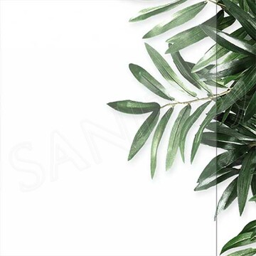 Душевая кабина Domani-Spa Simple 99 белая прозрачная