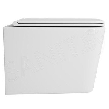 Подвесной унитаз OWL Vatter Ruta-H OWLT190401 с крышкой SoftClose