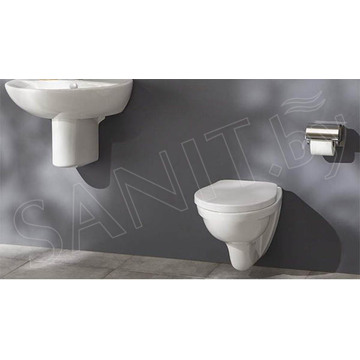 Подвесной унитаз Jacob Delafon Patio EDV102-00