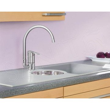 Смеситель для кухонной мойки Grohe Euroeco New 32752000