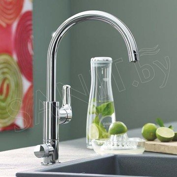 Смеситель для кухонной мойки Grohe Blue Pure BauCurve 119709 в комплекте с фильтром