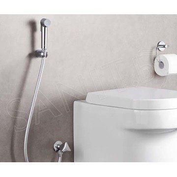 Гигиеническая лейка Grohe Tempesta-F Trigger Spray 30 26354000