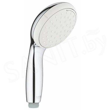 Душевая лейка GROHE Tempesta New 27597001
