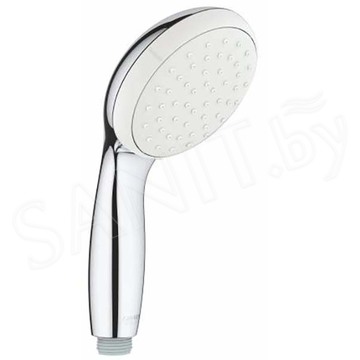 Душевая лейка GROHE Tempesta New I 27852001