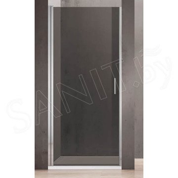 Душевая дверь Adema NAP-70 тонированная