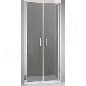 Душевая дверь Adema NAP-DUO тонированная