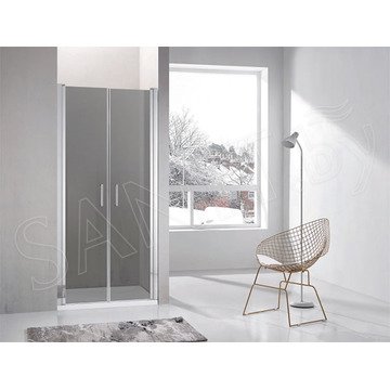 Душевая дверь Adema NAP-DUO тонированная