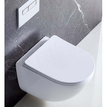 Подвесной унитаз BelBagno Amanda безободковый