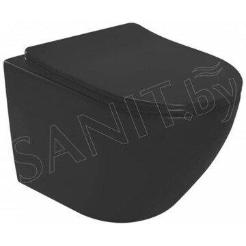 Подвесной унитаз Rea Carlo Carlo Mini Rimless Black Mat C8489