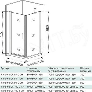 Душевой уголок Good Door Pandora DR + SP C-CH 100